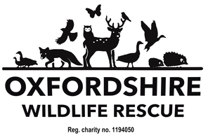 Oxfordshire Wildlife Rescue